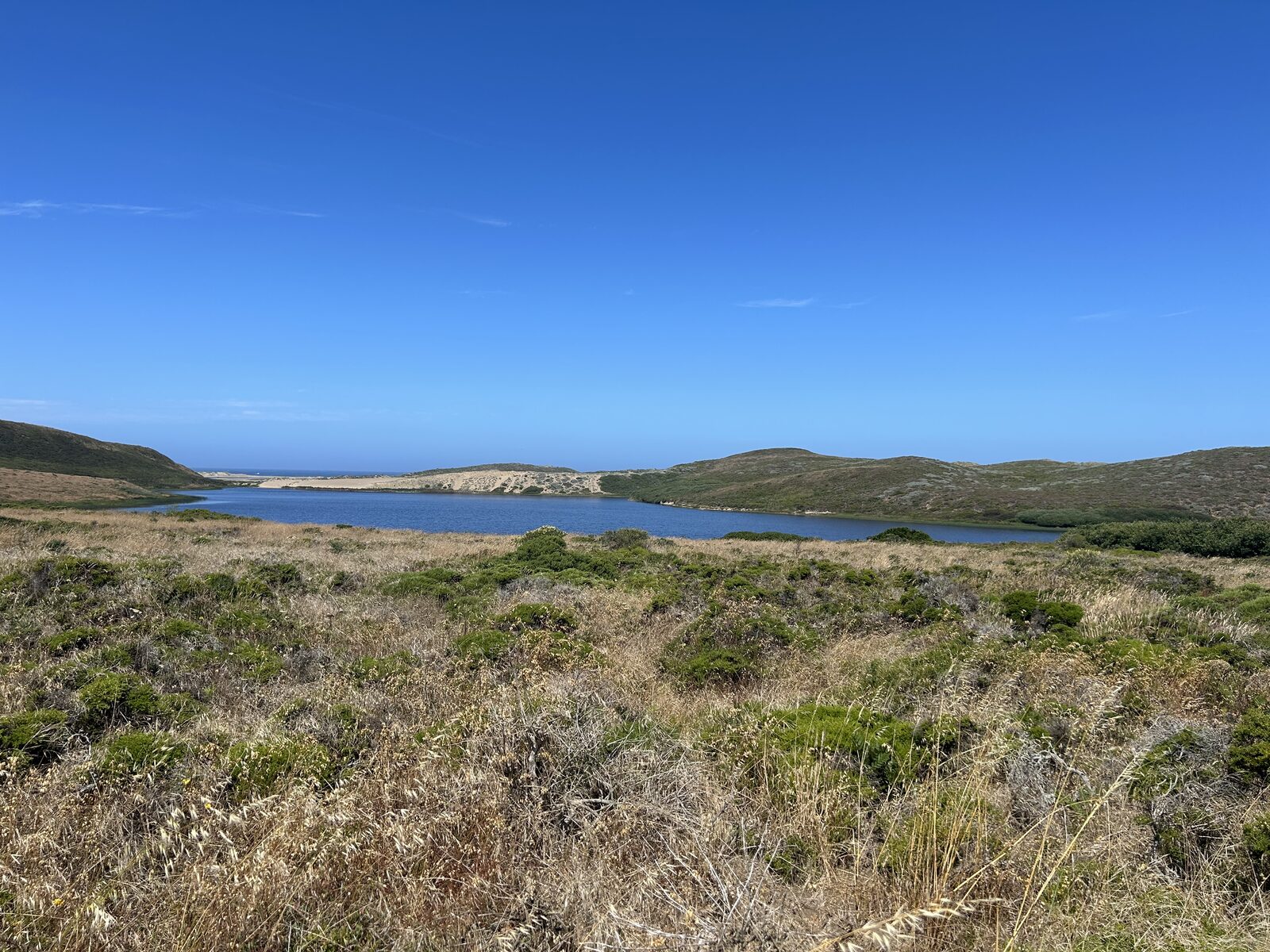 Abbott's Lagoon opening toward the ocean