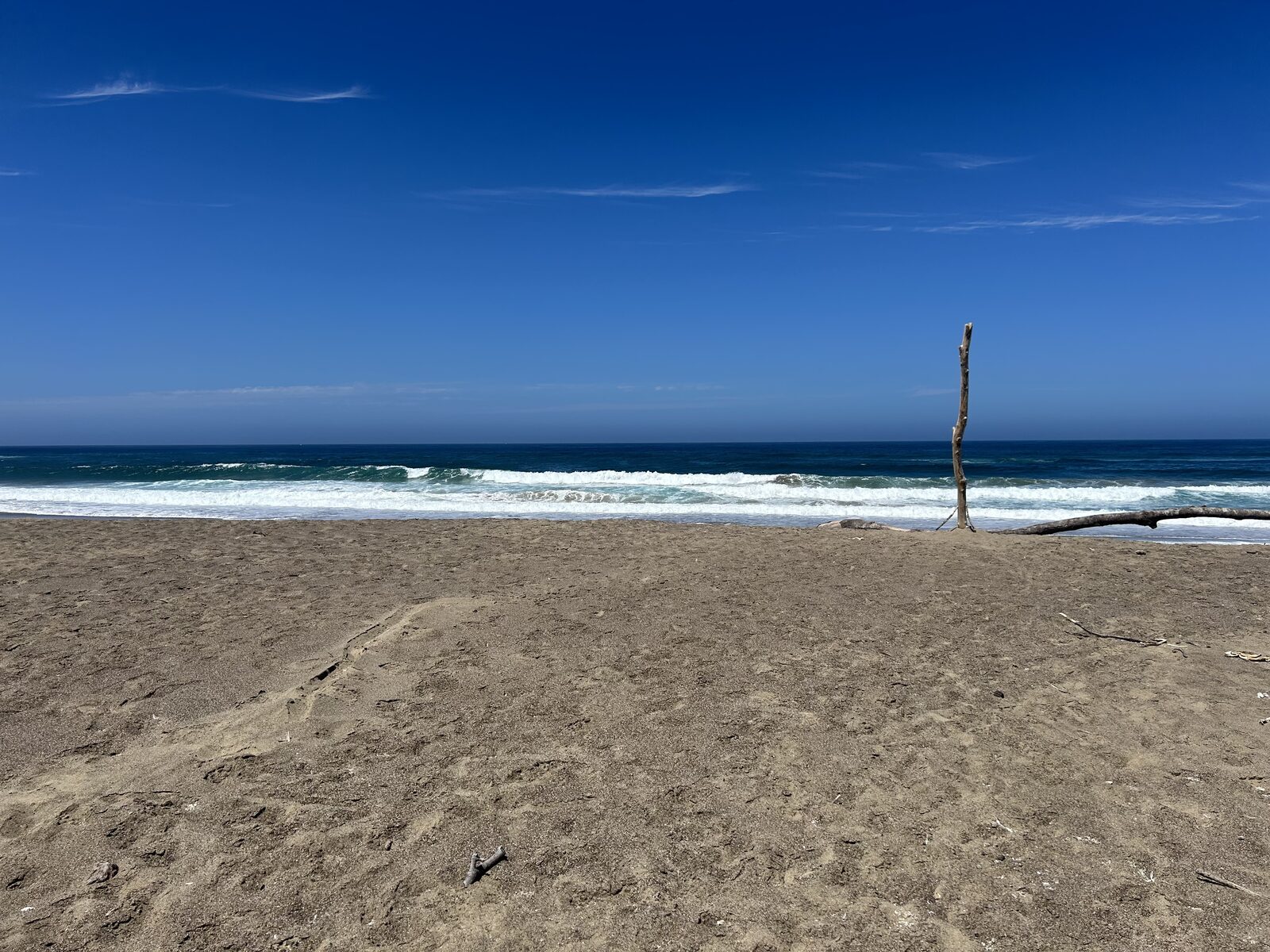 Empty beach with a single driftwood post