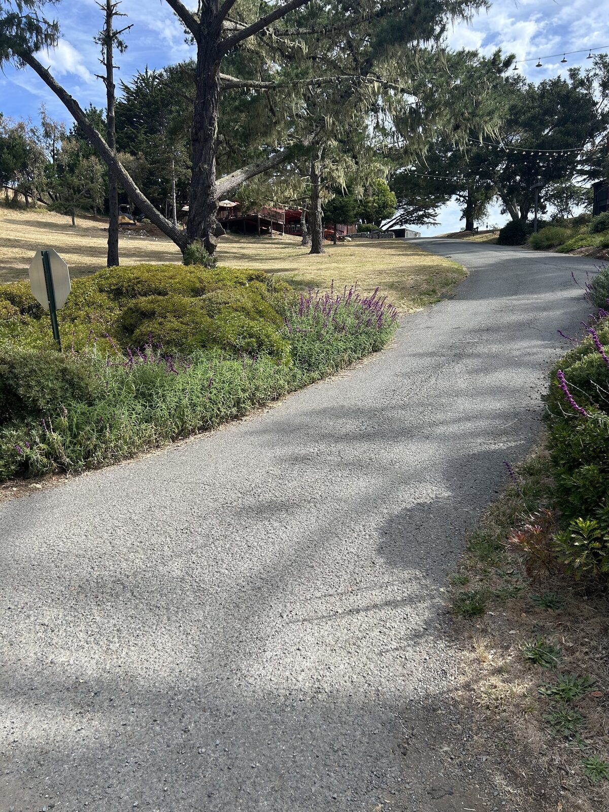 Paved path winding uphill back to Mable's