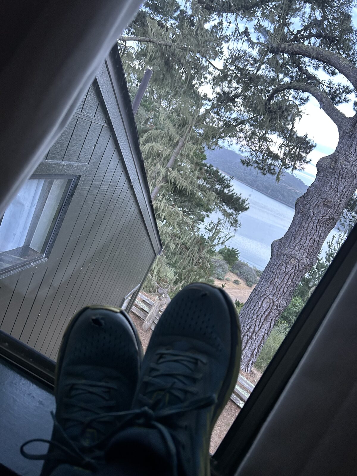 View of Tomales Bay through the trees, feet up on the windowsill