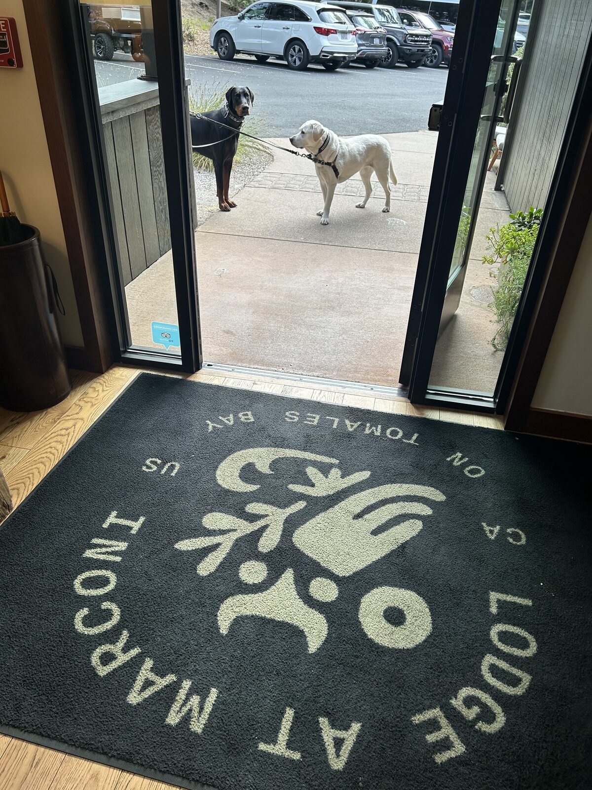 Welcome mat at the lodge entrance with two guest dogs