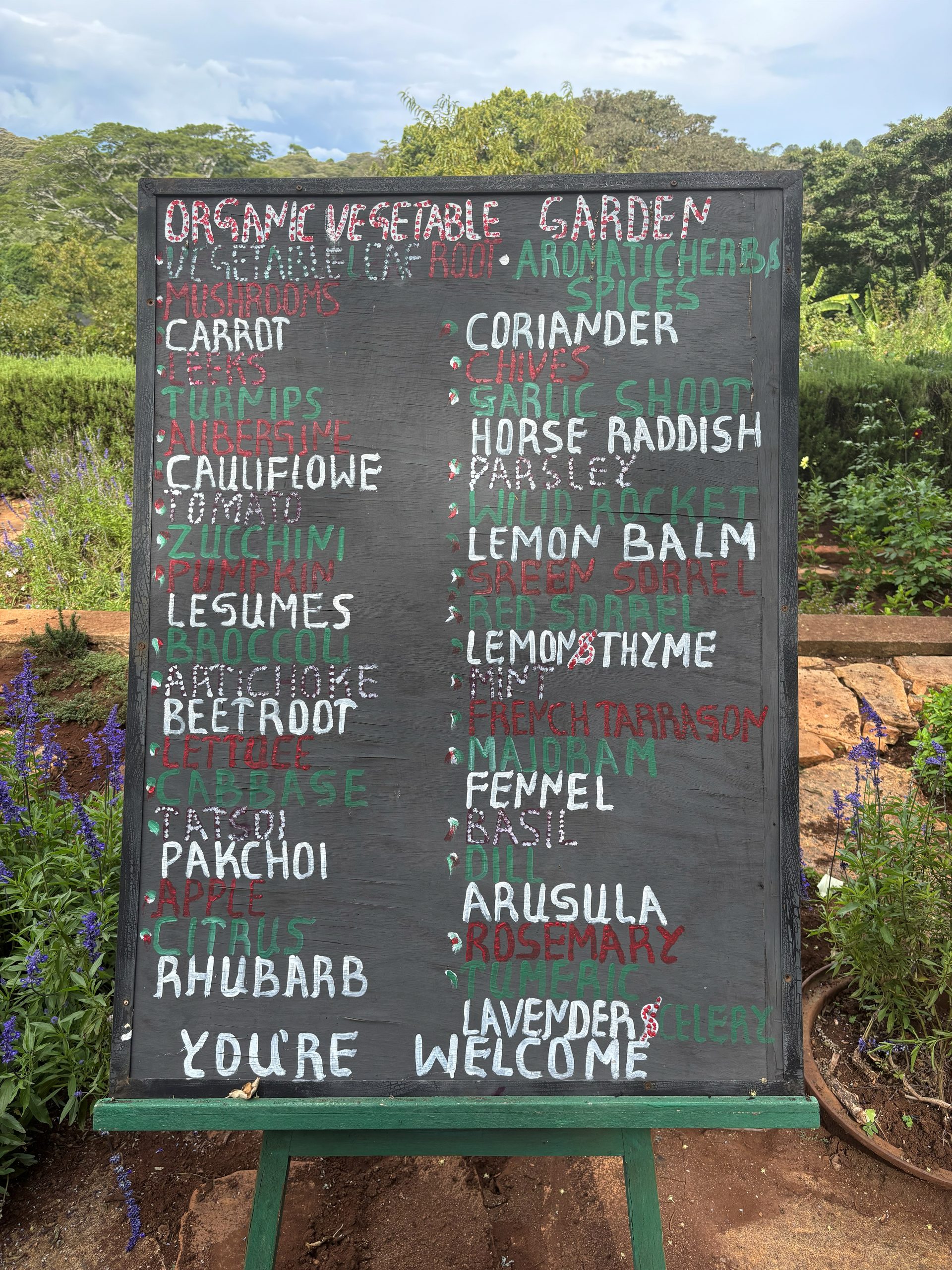 The Gibb's Farm organic vegetable garden chalkboard — listing dozens of vegetables, herbs and spices growing on the property, with lavender plants in bloom in the foreground and the highland forest visible behind