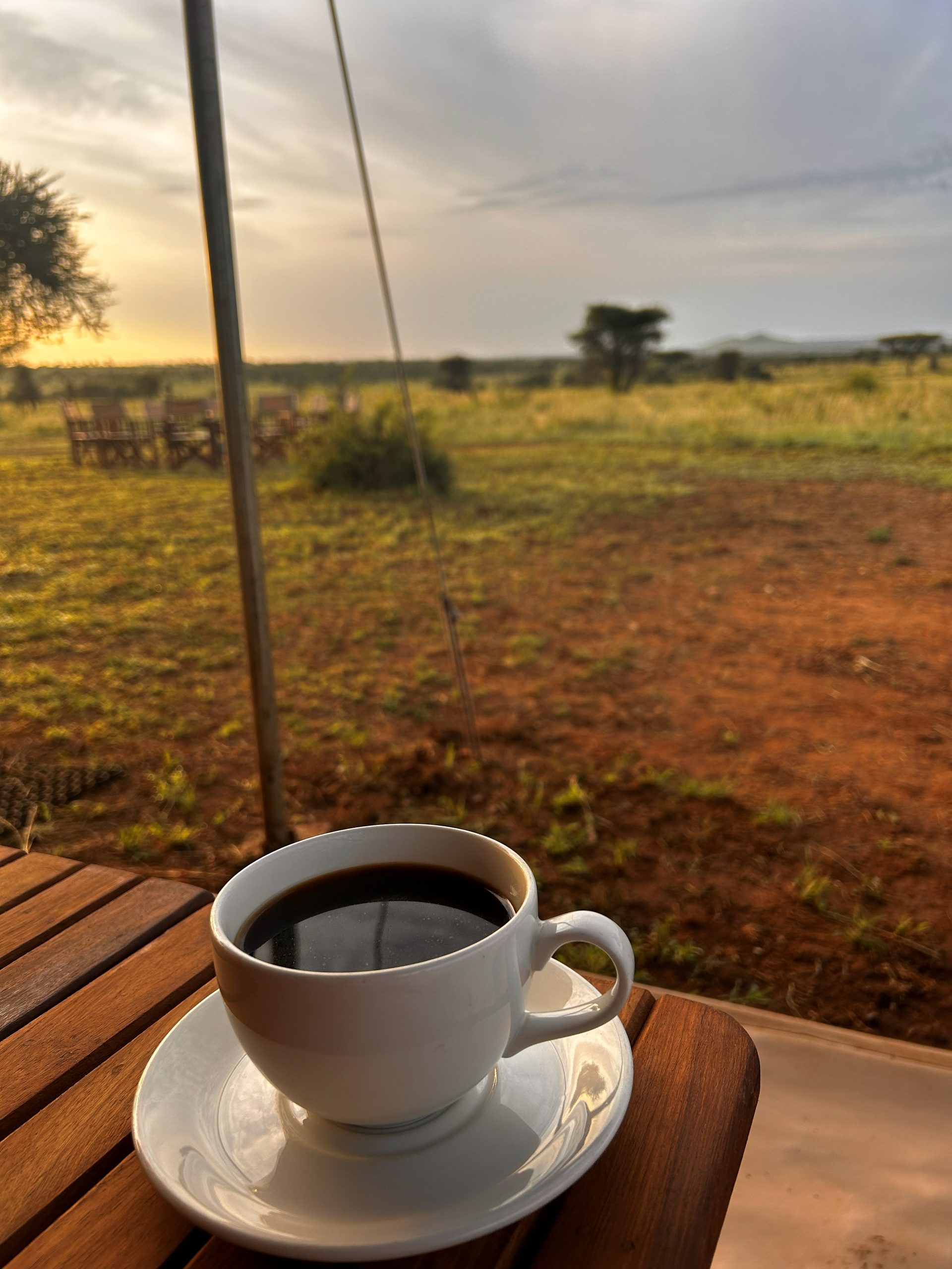 A cup of black coffee on the tent porch table at dawn — the Serengeti plains glowing gold behind, director's chairs in the distance