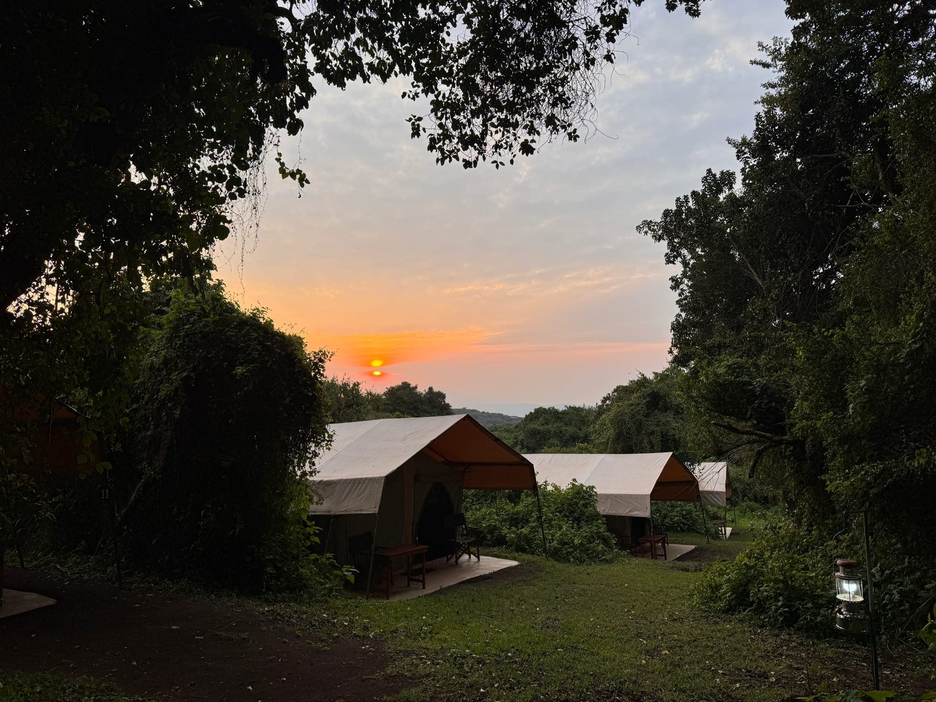 The Ngorongoro Nyumba camp tents at sunset on the crater rim — canvas A-frames nestled in dense green forest, a deep orange sun setting through the trees, a camp lantern glowing in the foreground
