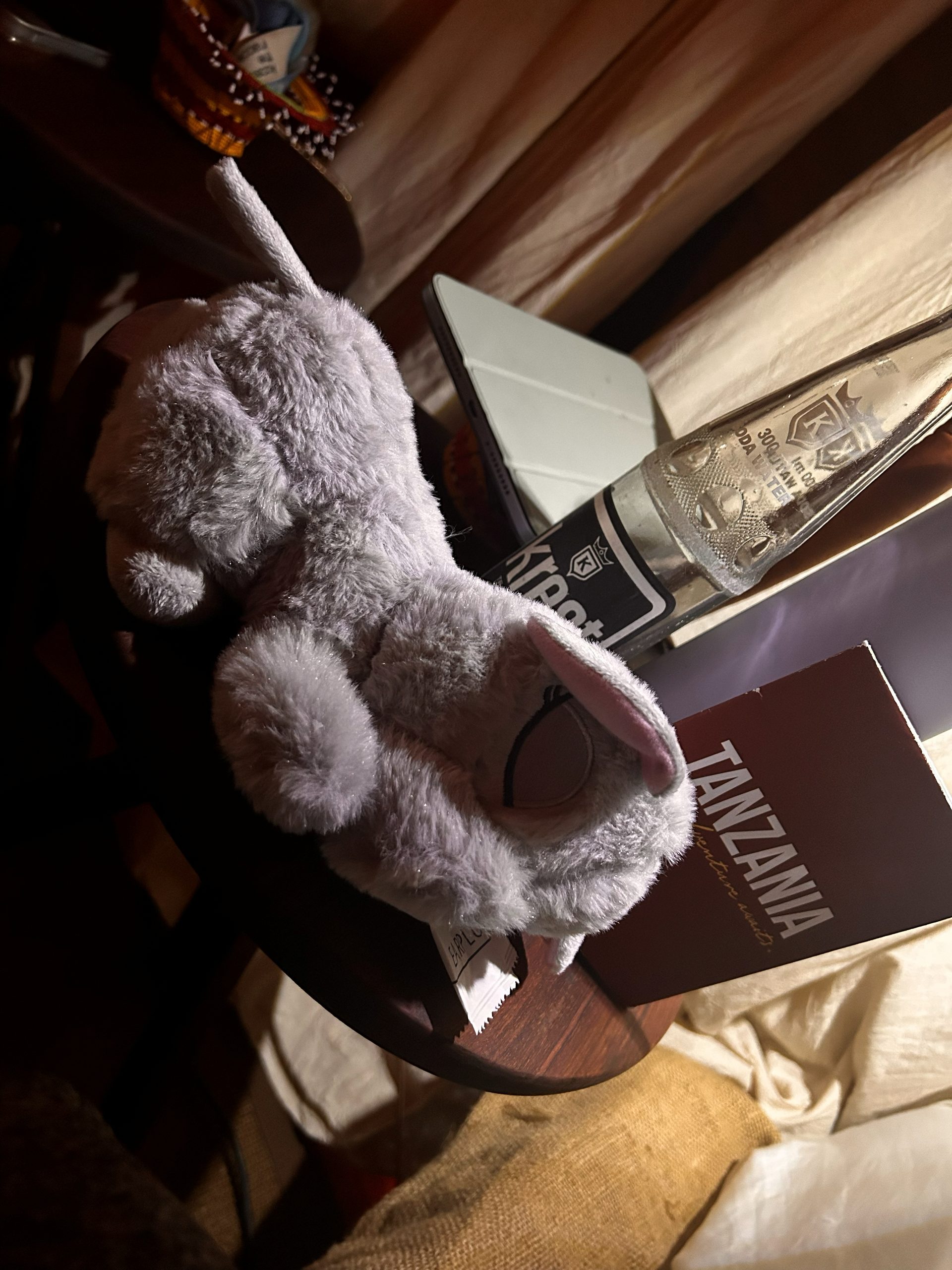 A stuffed elephant toy on the tent bedside table next to a Krest soda bottle and a Tanzania travel guide — the soft light of a canvas tent at night