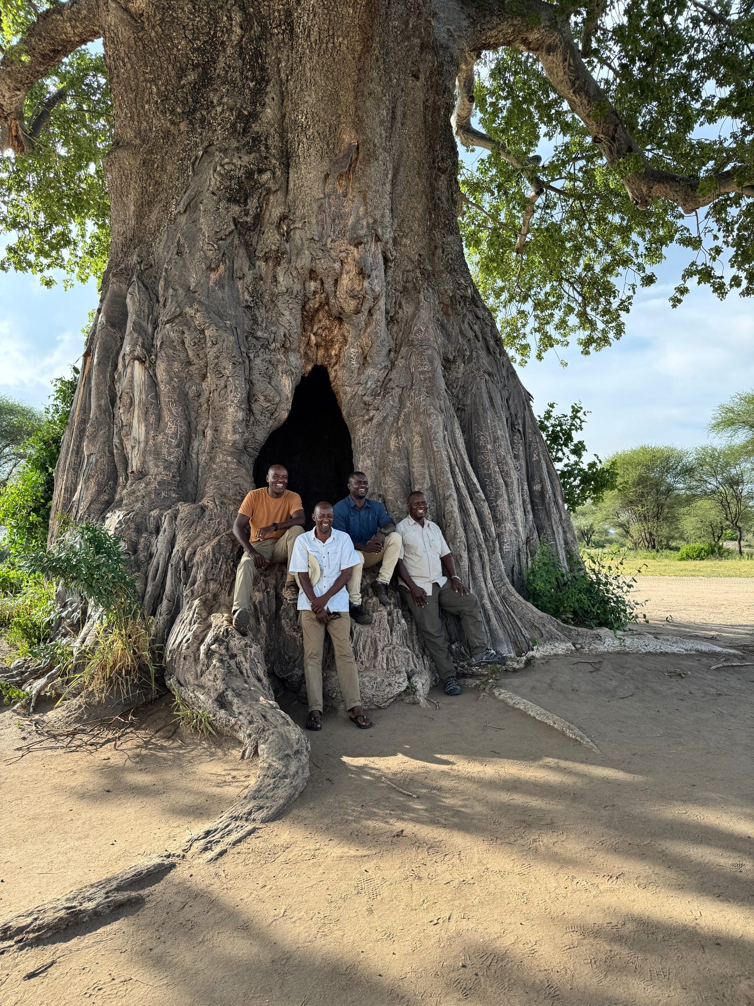 Four Tanzanian guides laughing inside the hollow of a giant baobab tree